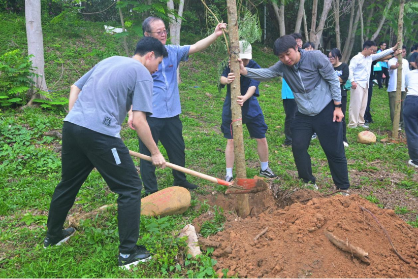 情系母校 师恩润根——我院2024届毕业生共植凤凰木